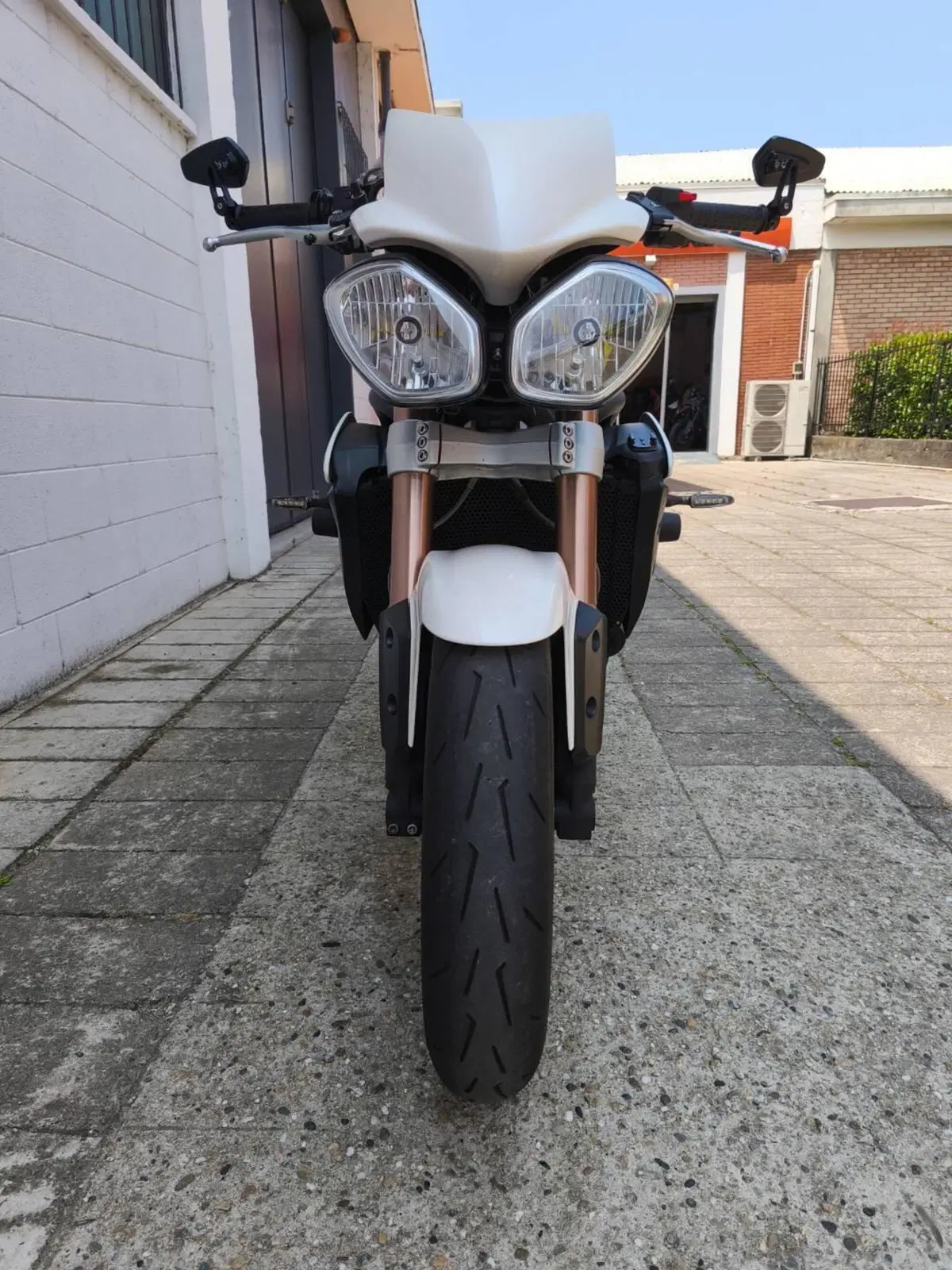 Triumph Speed Triple 1050 ABS (2011 - 15) (4)