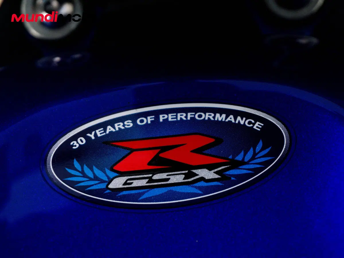 Suzuki GSX R 750 (1990) (13)