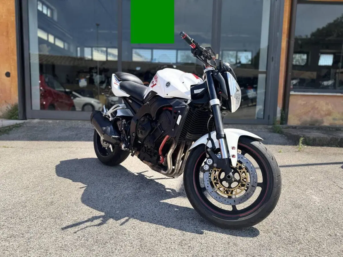 Yamaha FZ1 (2006 - 16) (2)