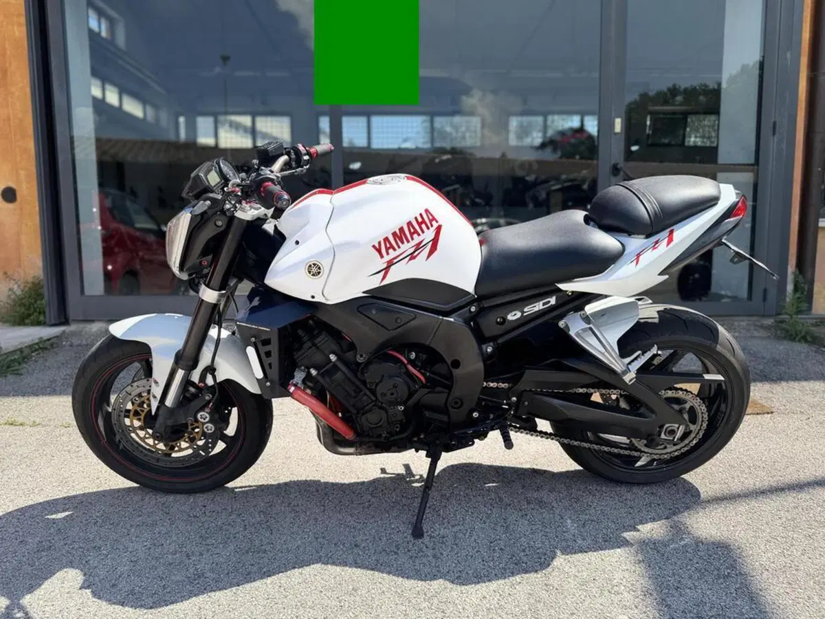 Yamaha FZ1 (2006 - 16) (4)