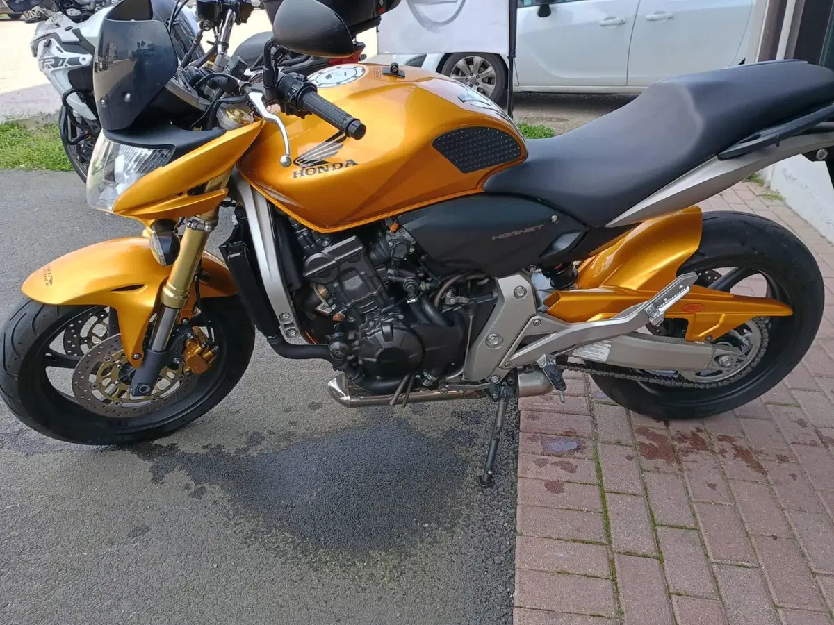 Honda Hornet 600 (2007 - 10)