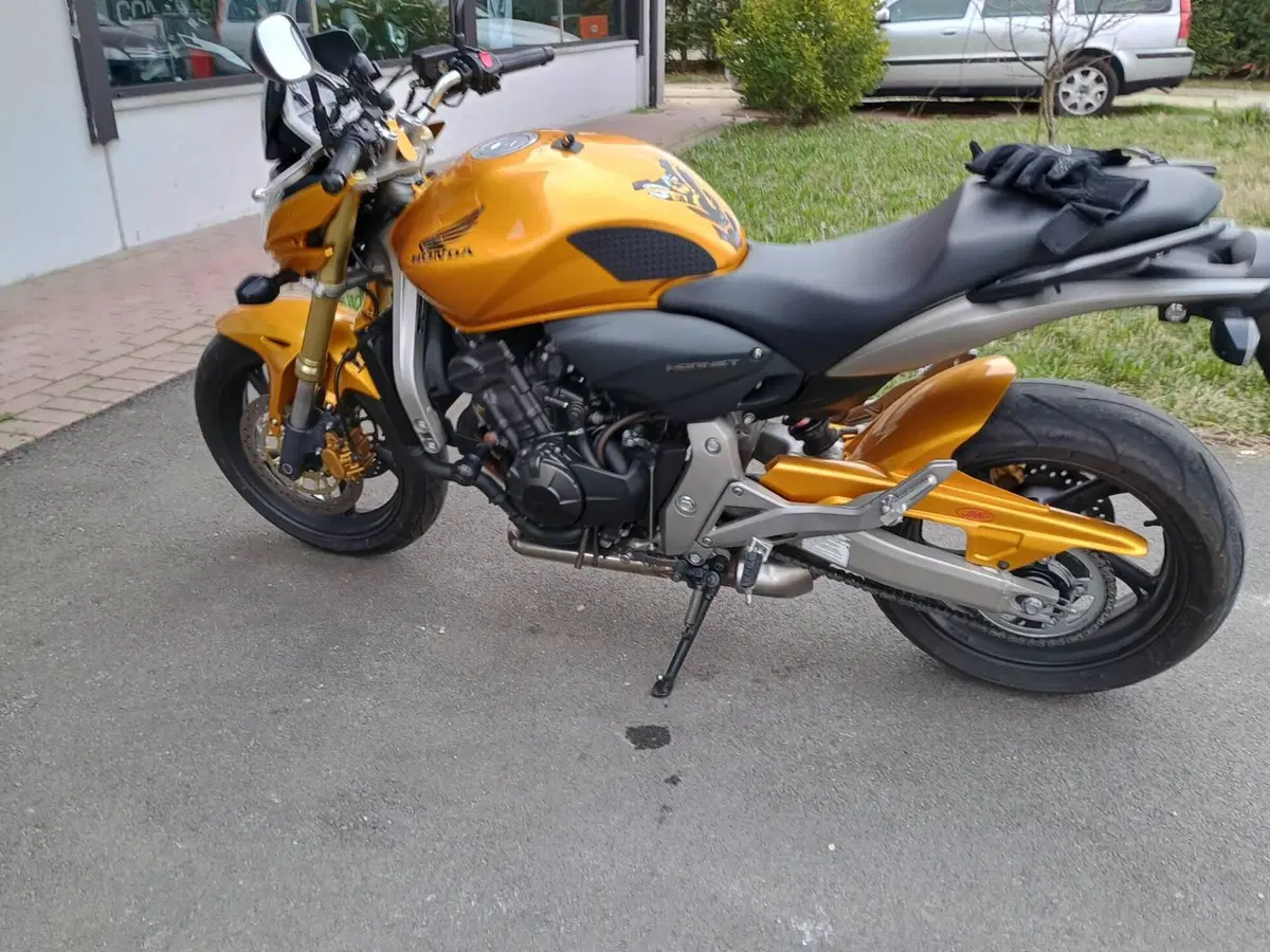 Honda Hornet 600 (2007 - 10) (2)