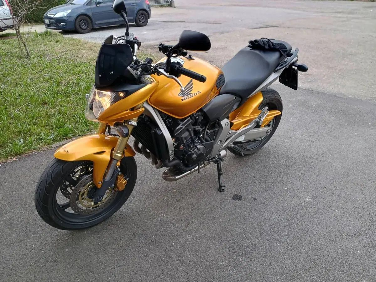 Honda Hornet 600 (2007 - 10) (3)