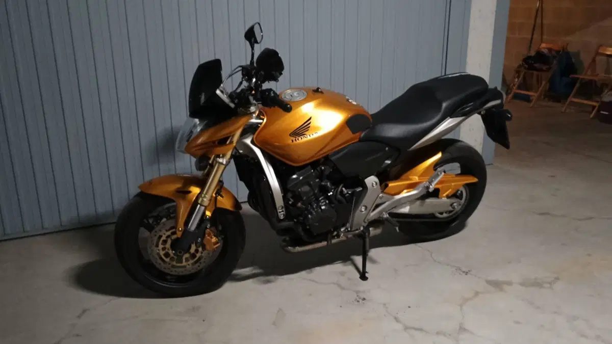 Honda Hornet 600 (2007 - 10) (4)