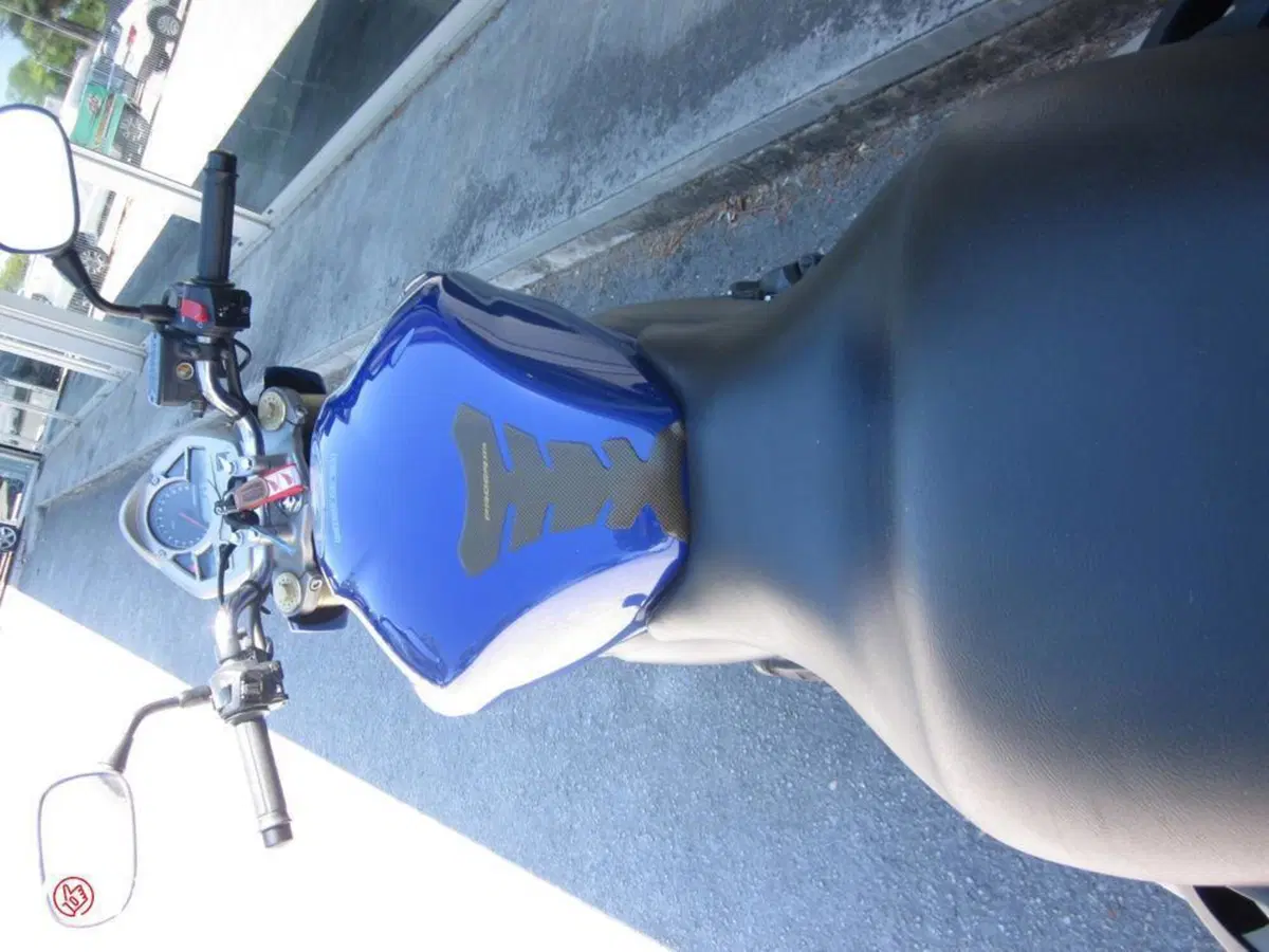 Honda Hornet 600 (2007 - 10) (5)