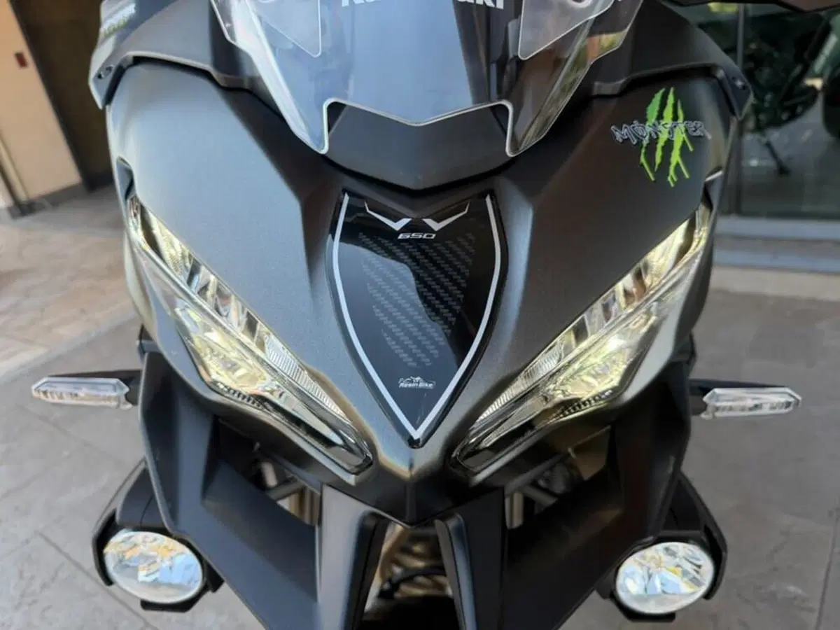 Kawasaki Versys 650 (2025 - 26) (5)