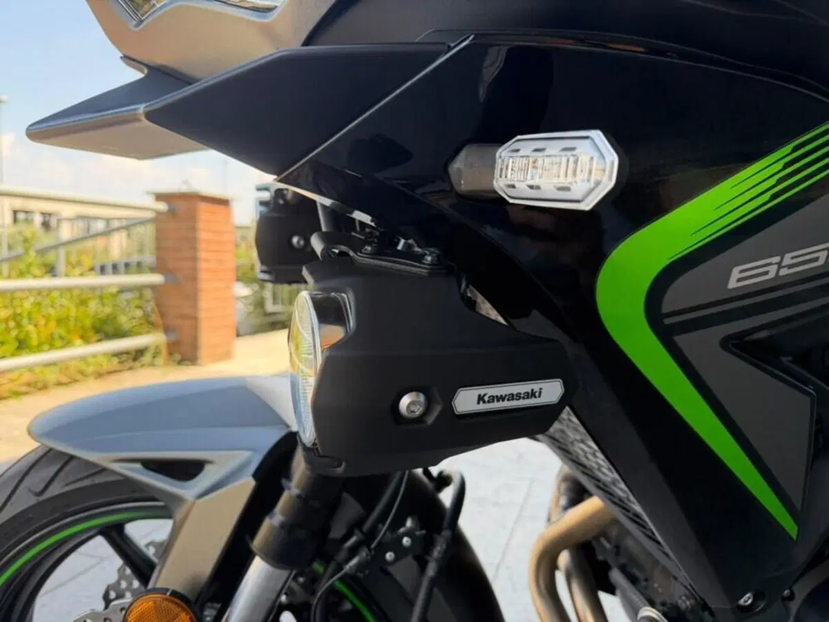Kawasaki Versys 650 (2025 - 26) (7)