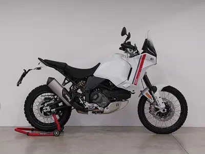 Ducati DesertX (2022 - 25) usata