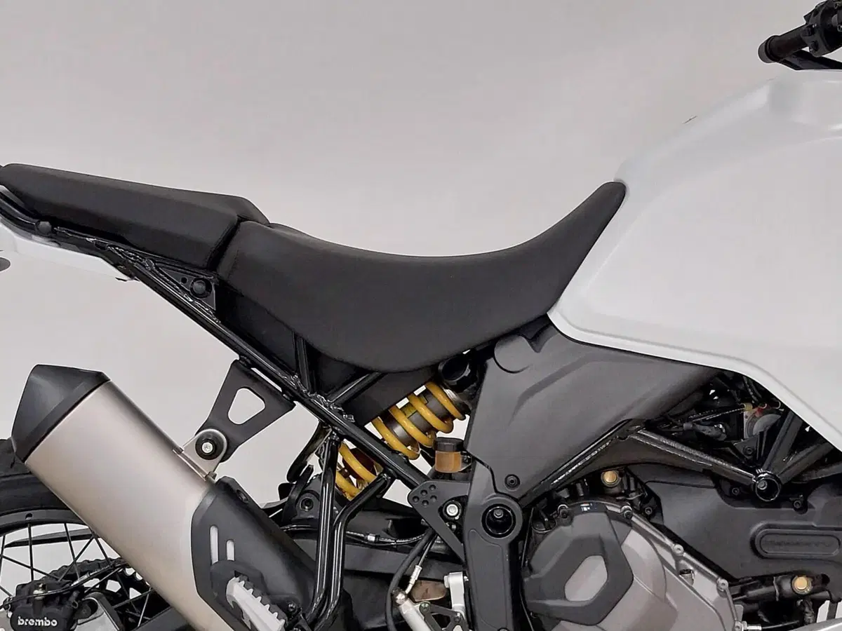 Ducati DesertX (2022 - 25) (7)