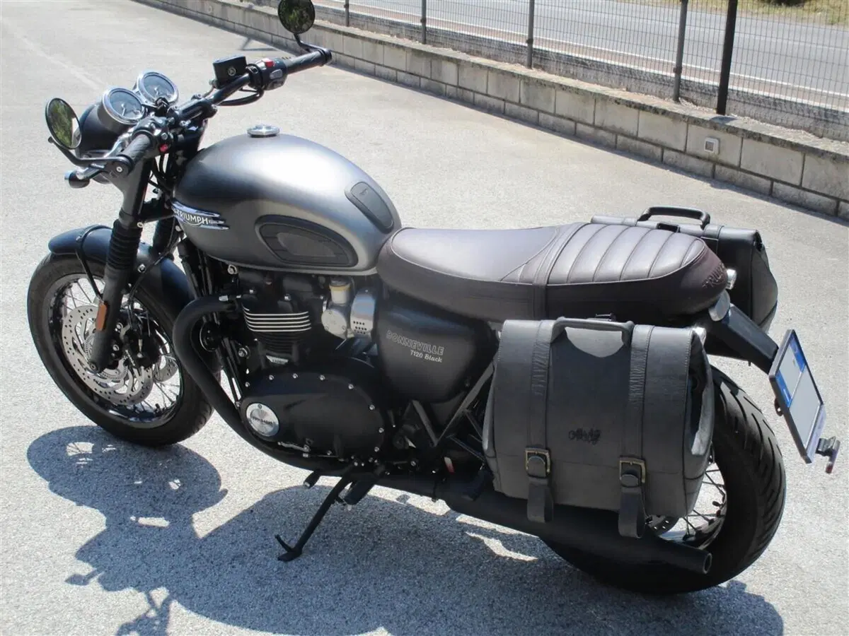 Triumph Bonneville T120 Stealth Edition (2024) (4)