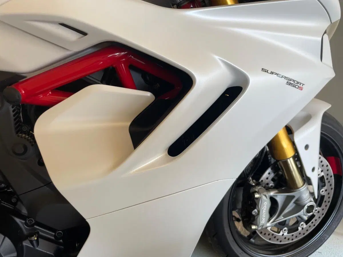 Ducati SuperSport 950 S (2021 - 24) (7)