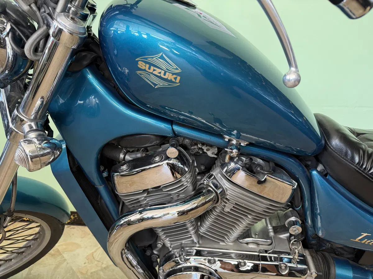 Suzuki VS 600 GL Intruder (1995 - 96) (8)