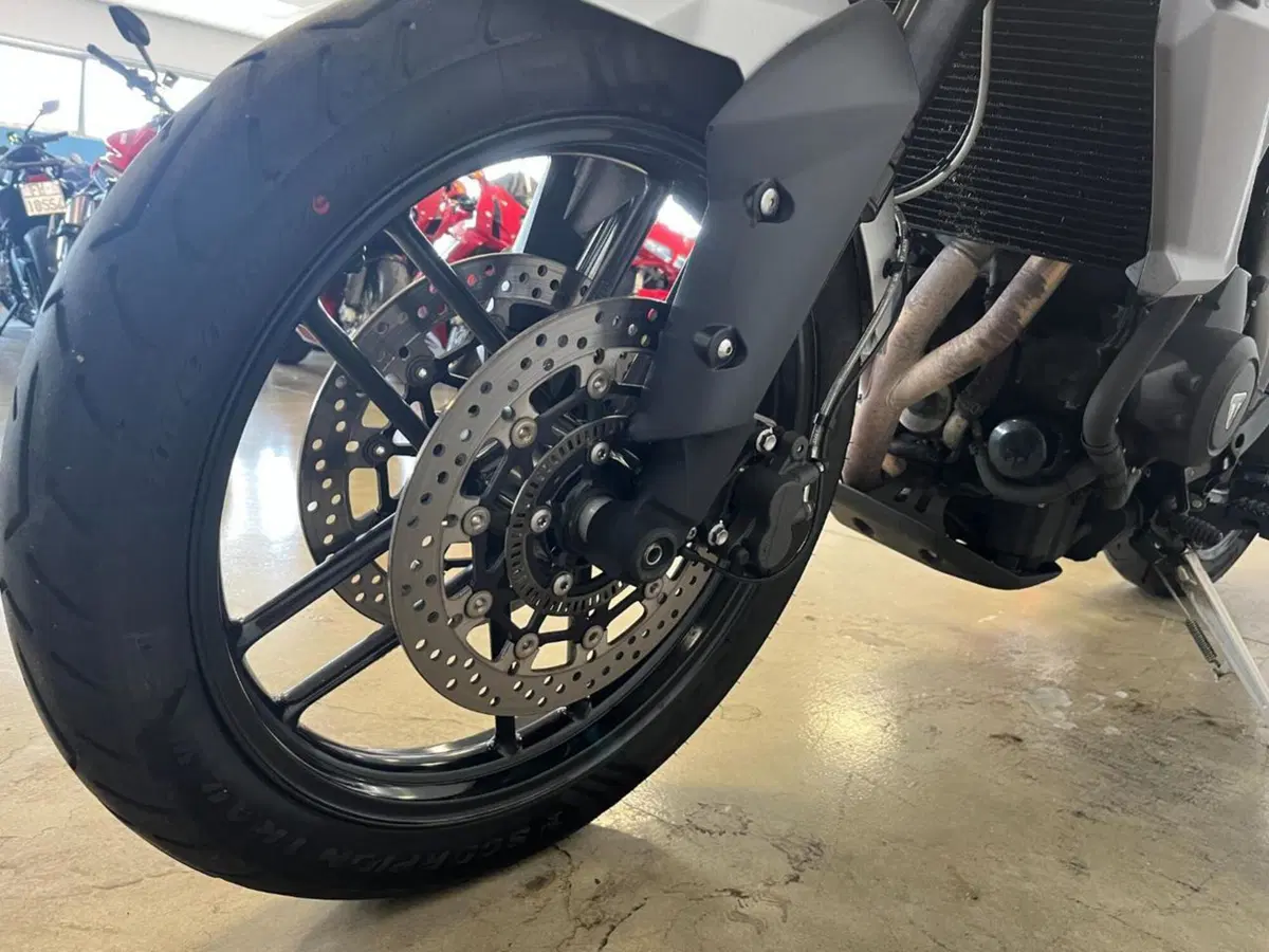 Triumph Tiger 800 XRx (2017 - 18) (3)