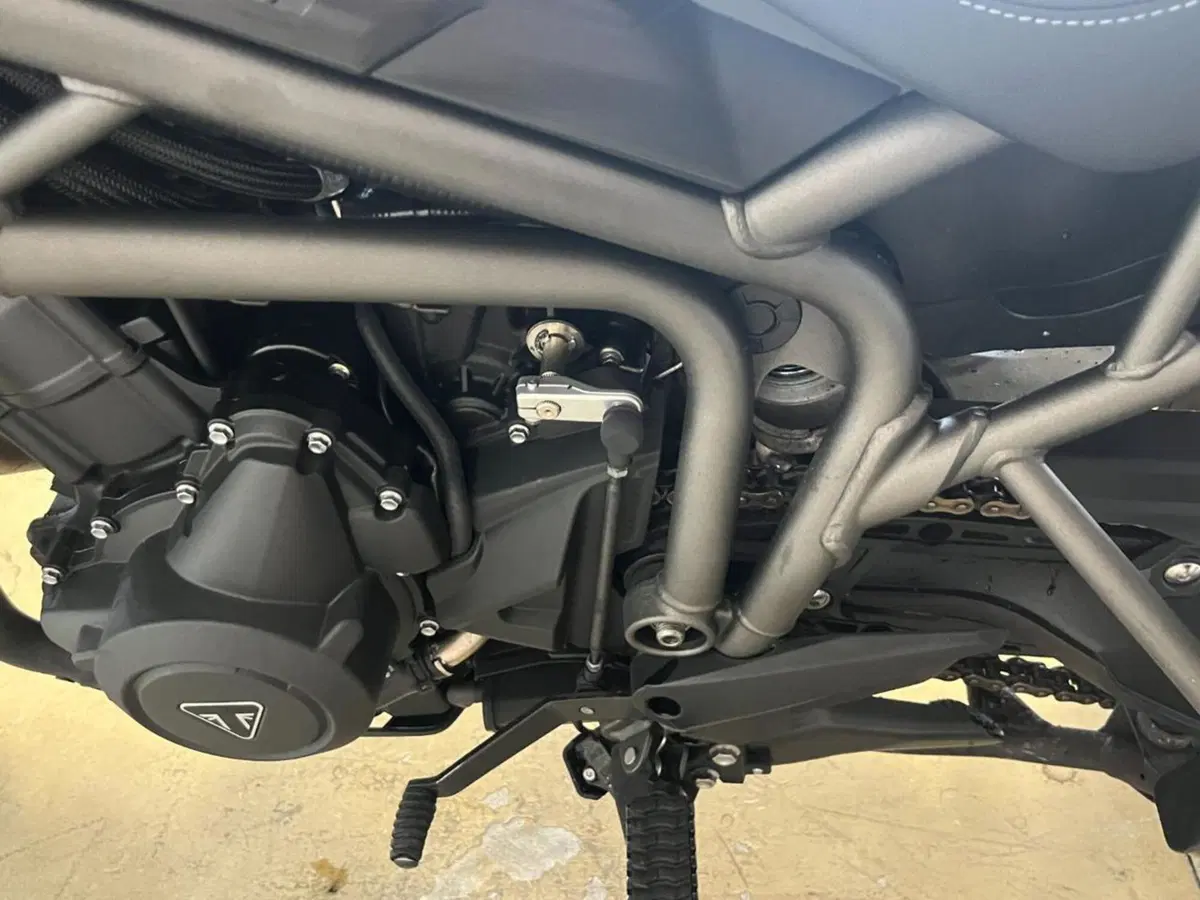 Triumph Tiger 800 XRx (2017 - 18) (9)