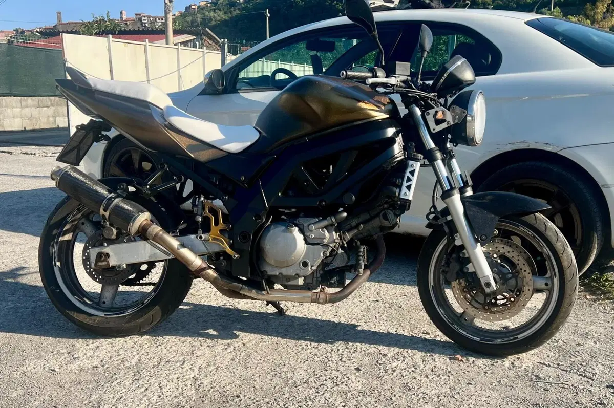 Suzuki SV 650 (2003 - 06) (2)