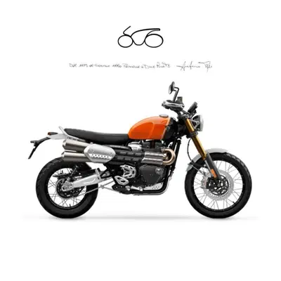 Triumph Scrambler 1200 XE (2024 - 25) usata