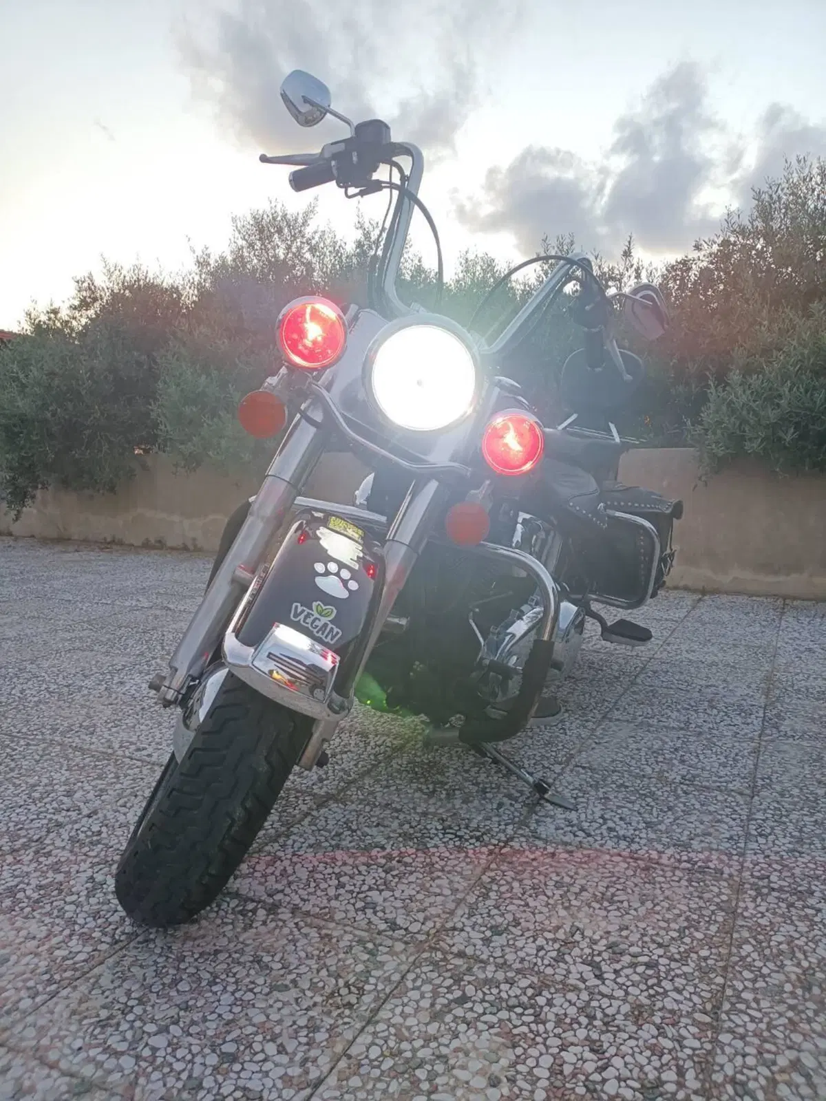 Harley-Davidson 1584 Heritage Classic (2006 - 07) - FLSTC (7)