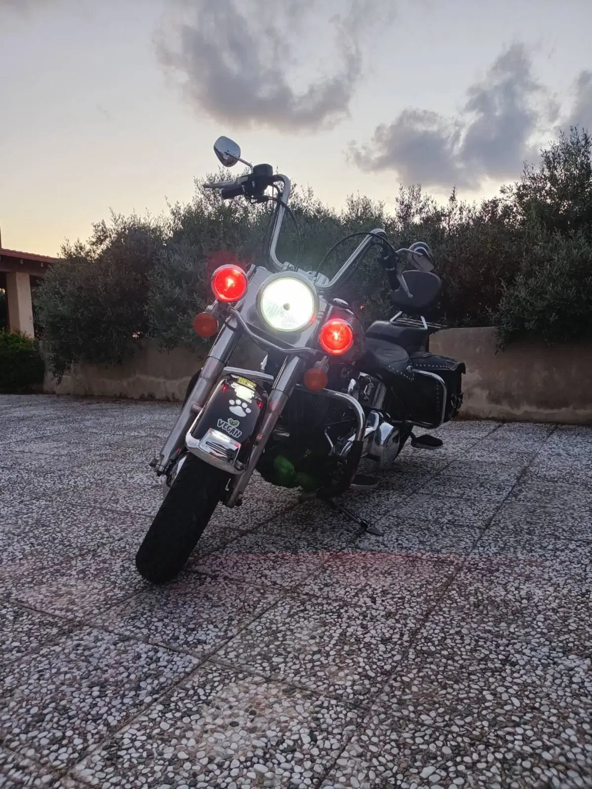 Harley-Davidson 1584 Heritage Classic (2006 - 07) - FLSTC (8)