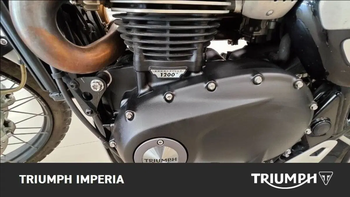 Triumph Scrambler 1200 XC (2019 - 20) (5)