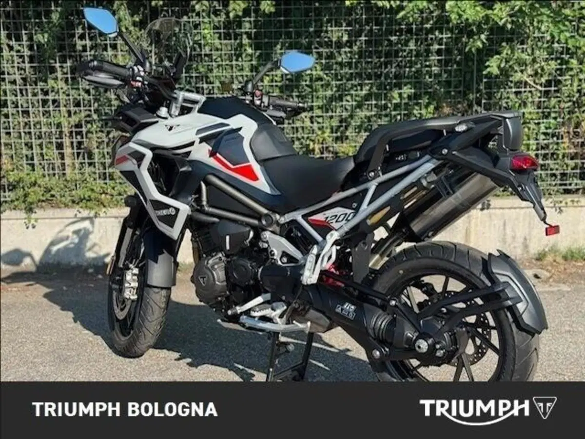 Triumph Tiger 1200 Alpine Special Edition (2026) (9)