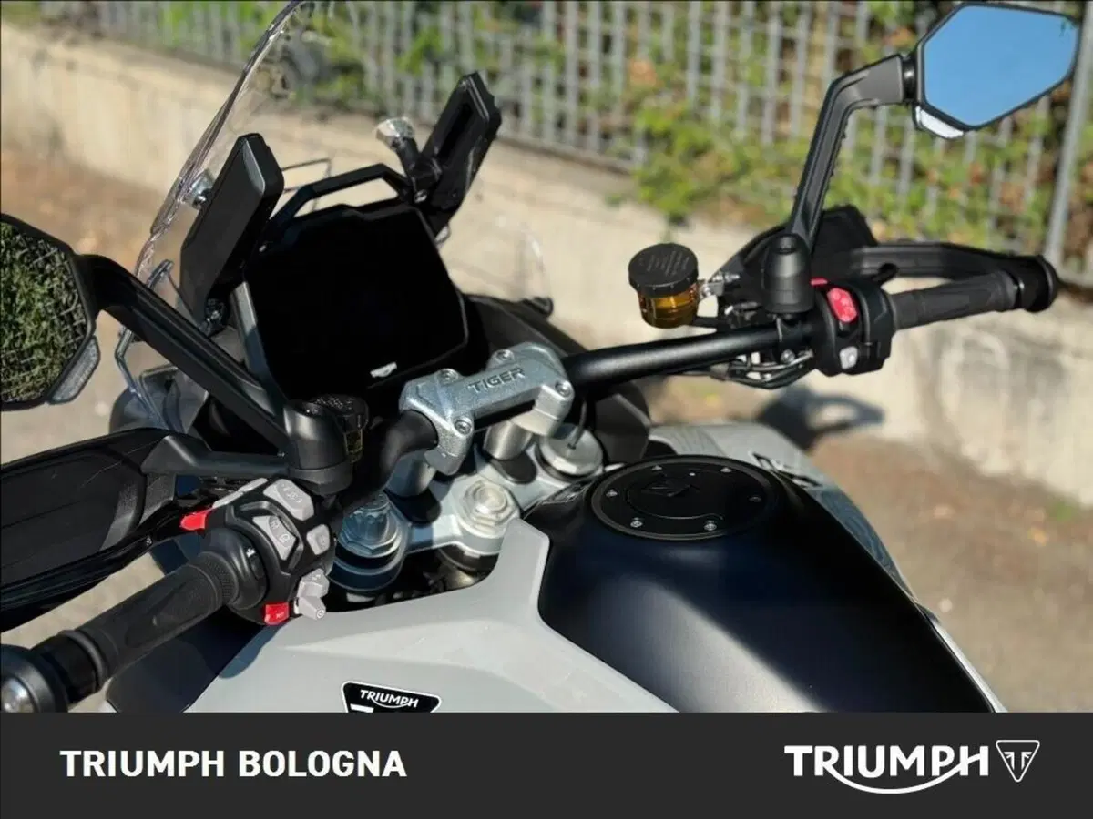 Triumph Tiger 1200 Alpine Special Edition (2026) (7)
