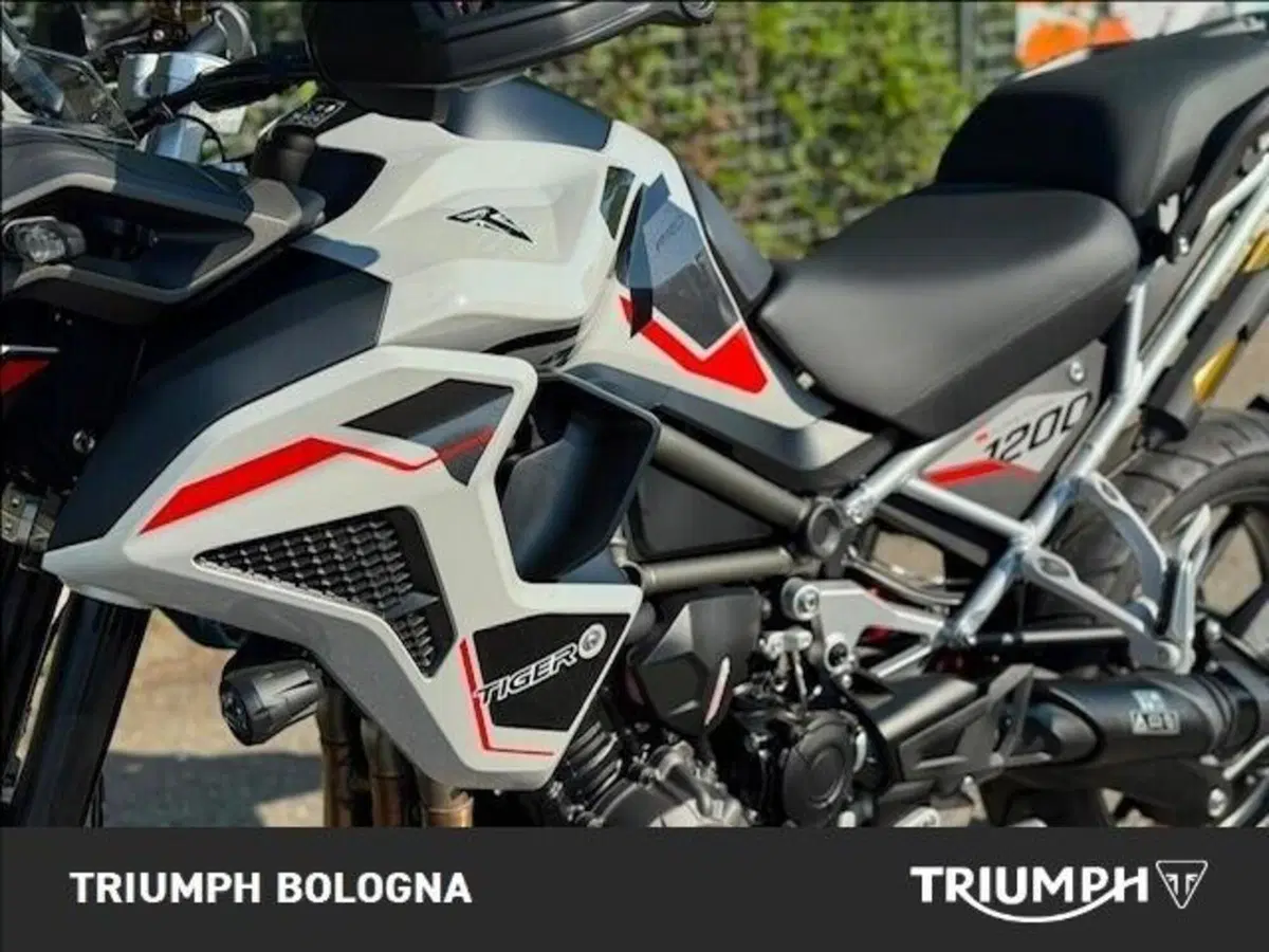 Triumph Tiger 1200 Alpine Special Edition (2026) (5)