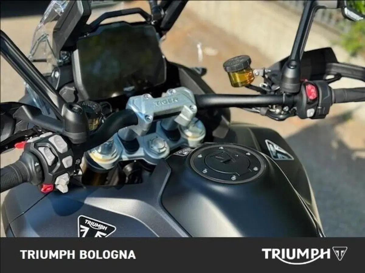 Triumph Tiger 1200 Alpine Special Edition (2026) (2)
