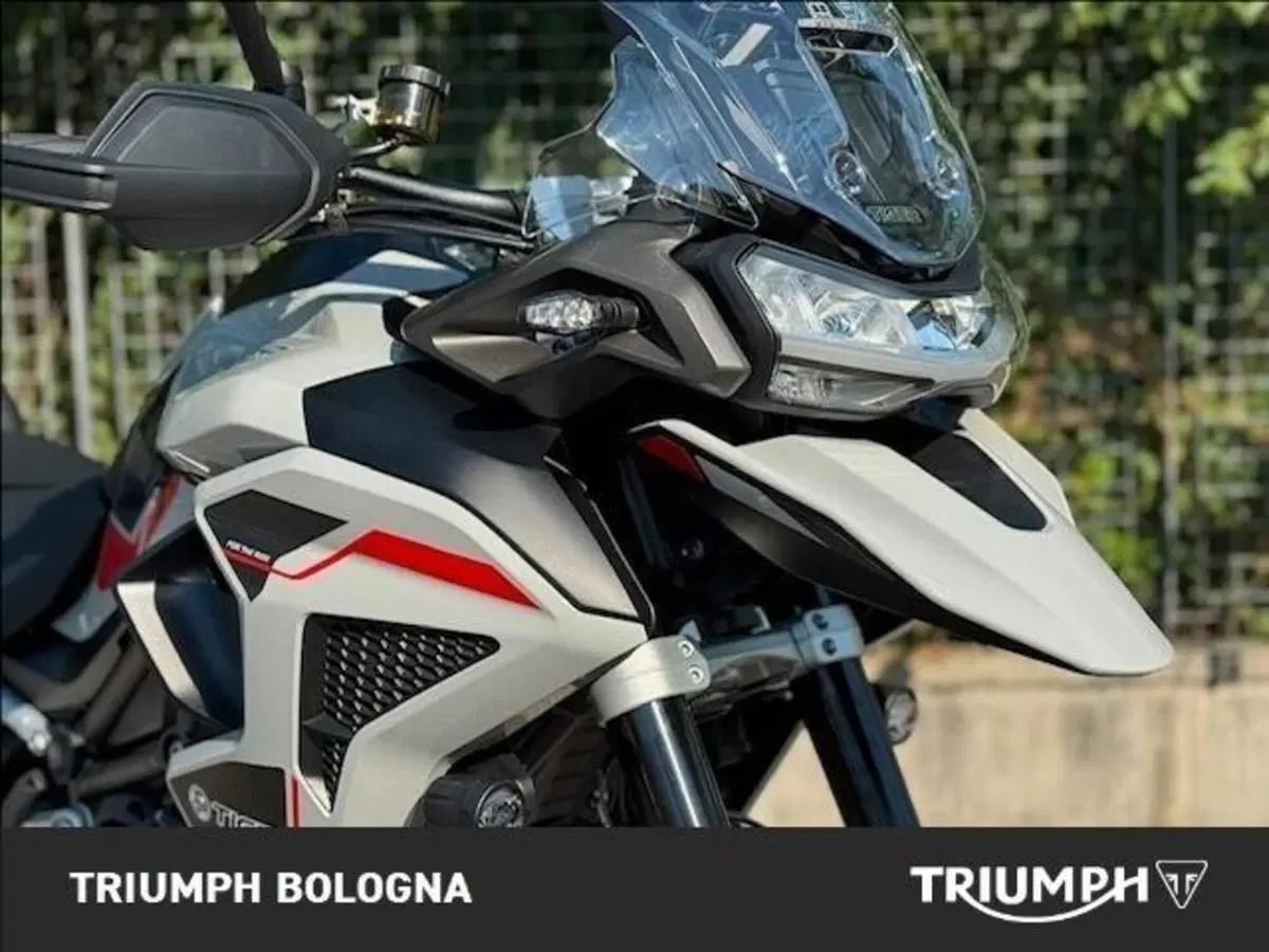 Triumph Tiger 1200 Alpine Special Edition (2026) (10)