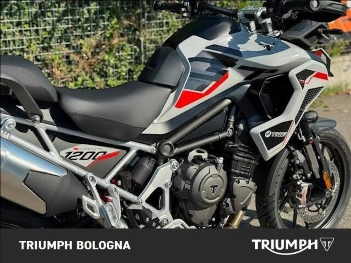 Triumph Tiger 1200 Alpine Special Edition (2026) (8)
