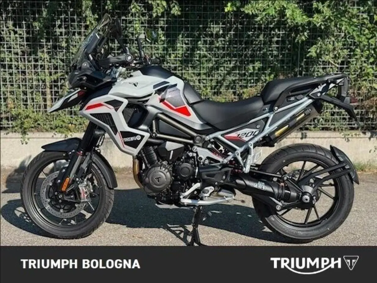 Triumph Tiger 1200 Alpine Special Edition (2026) (6)