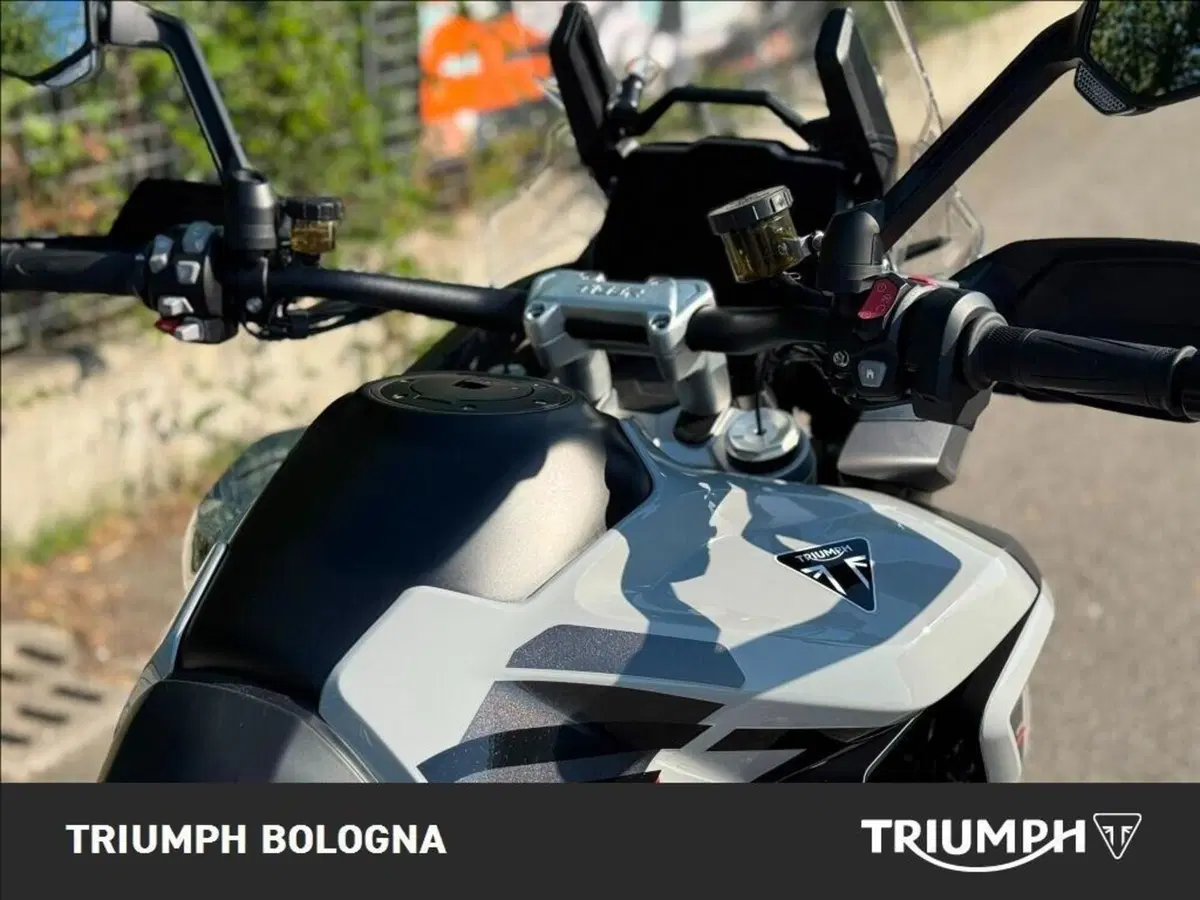 Triumph Tiger 1200 Alpine Special Edition (2026) (12)