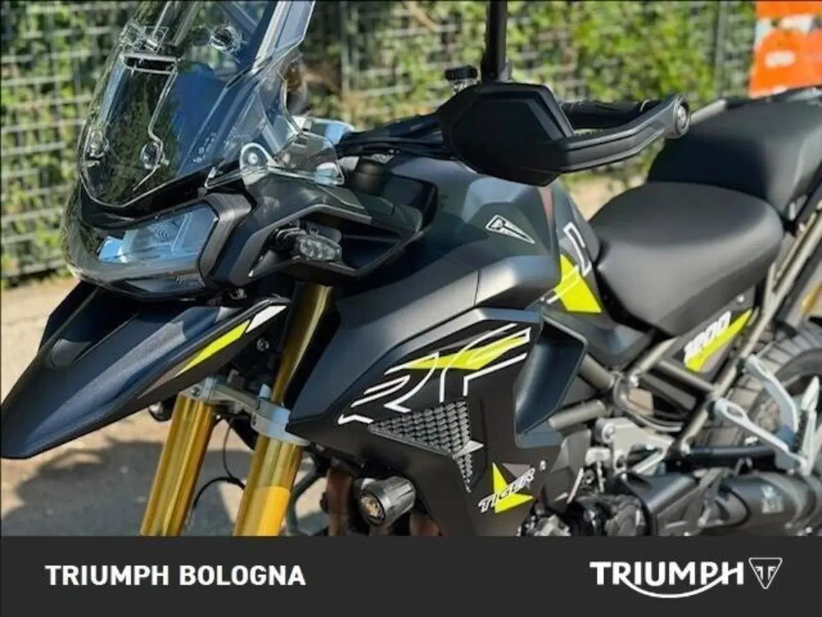 Triumph Tiger 1200 Desert Special Edition (2026) (4)