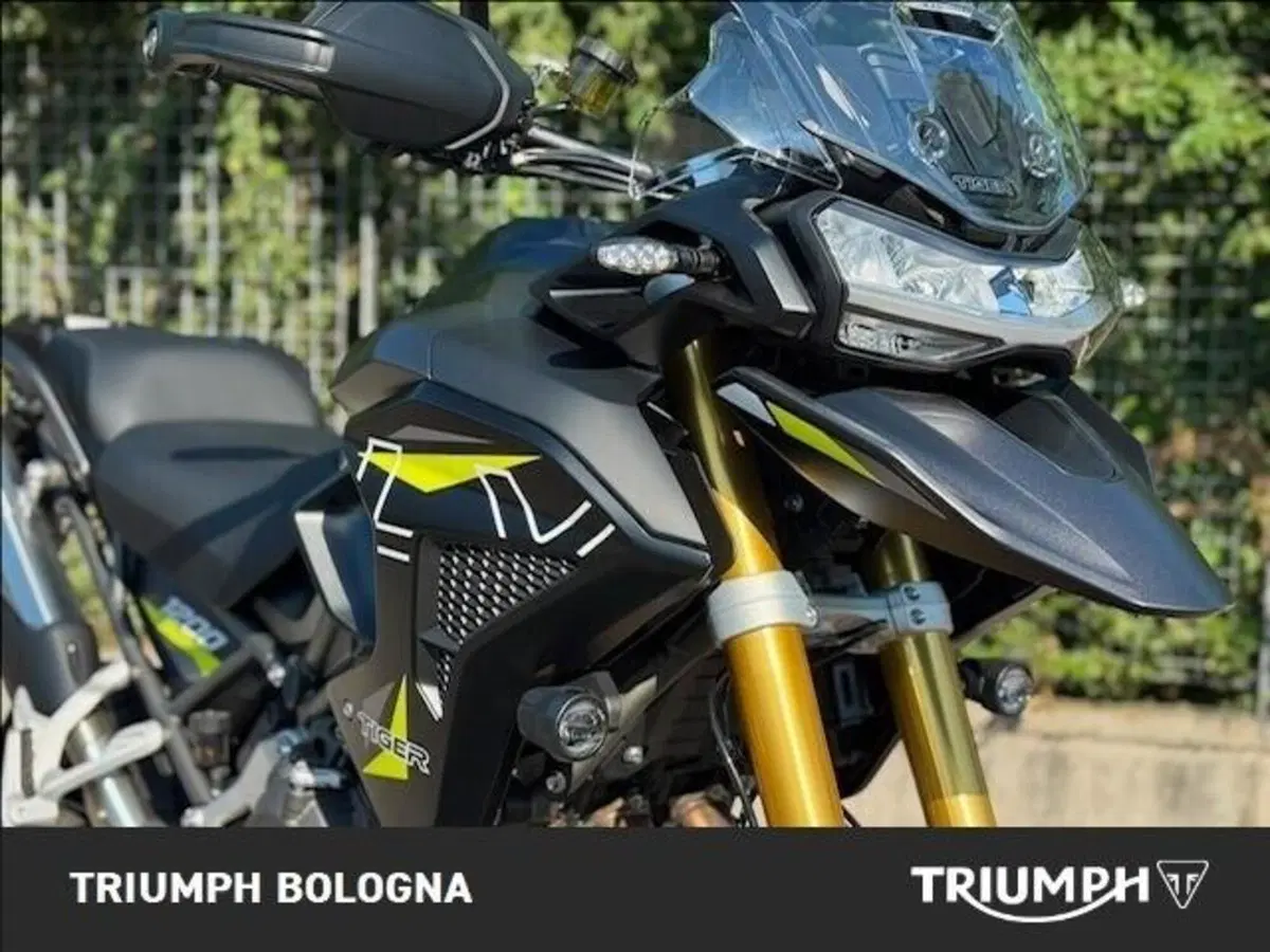 Triumph Tiger 1200 Desert Special Edition (2026) (3)