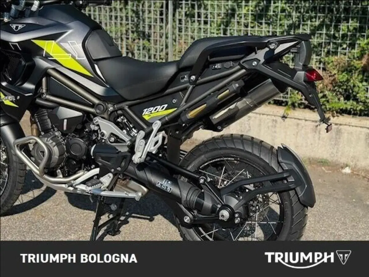 Triumph Tiger 1200 Desert Special Edition (2026) (6)