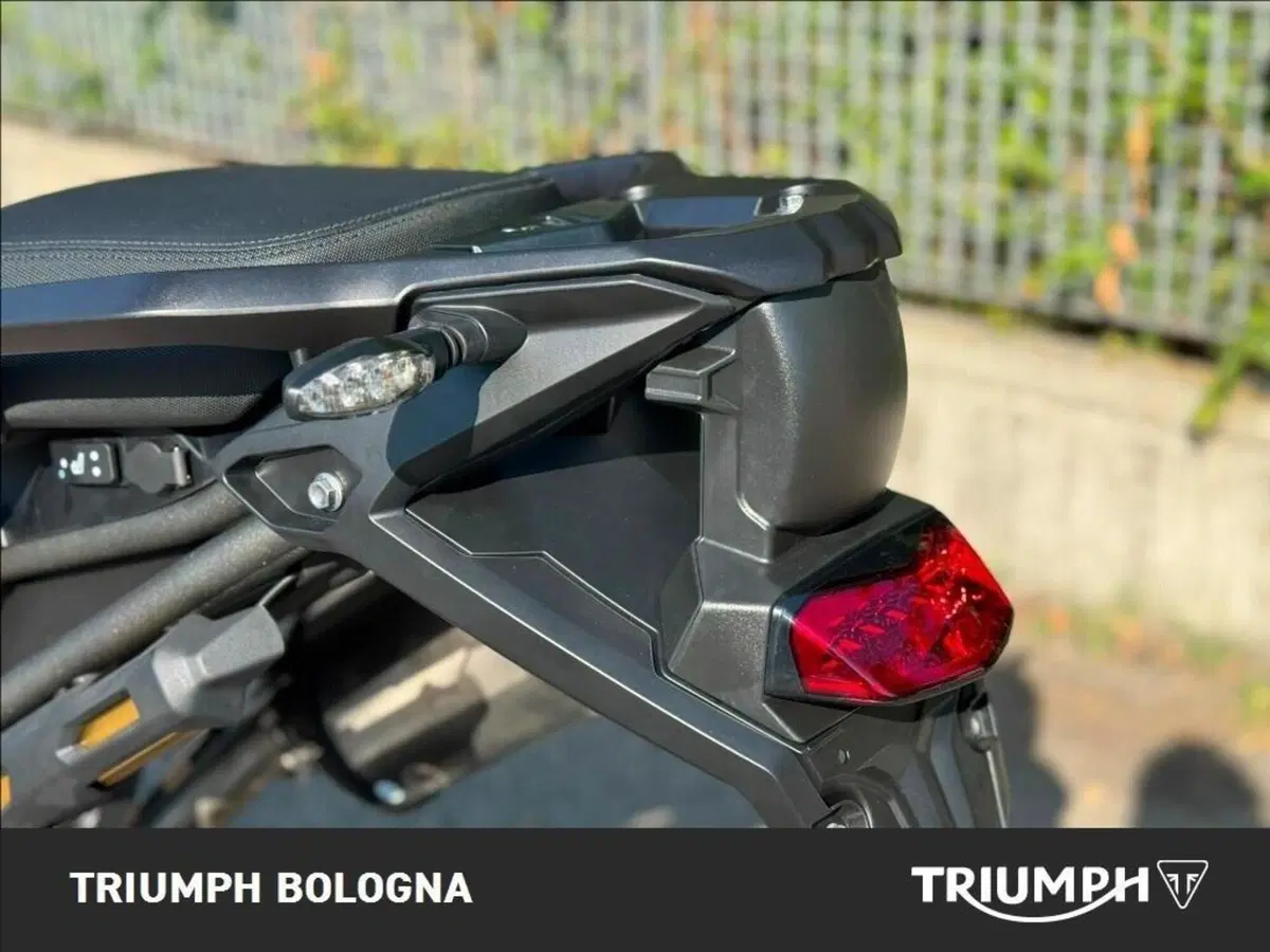 Triumph Tiger 1200 Desert Special Edition (2026) (7)