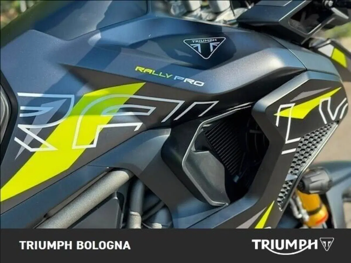 Triumph Tiger 1200 Desert Special Edition (2026) (9)