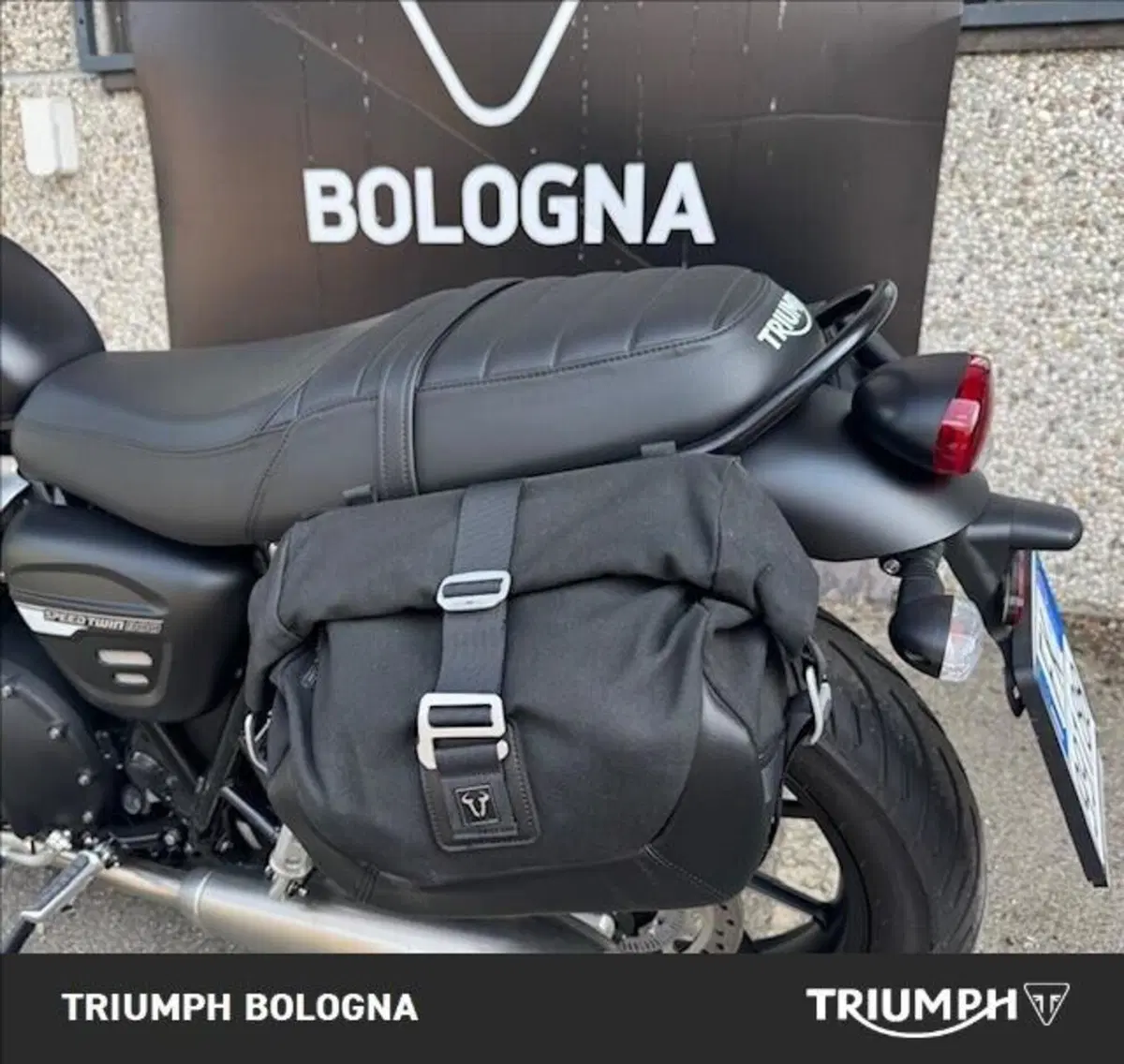 Triumph Speed Twin 900 (2023 - 24) (5)