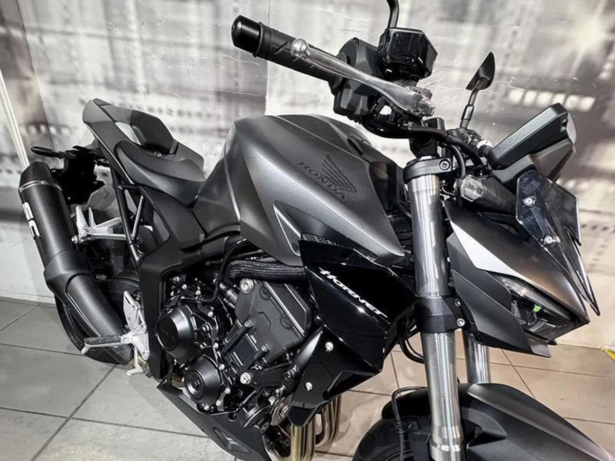 Honda CB 1000 Hornet (2025 - 26) (5)