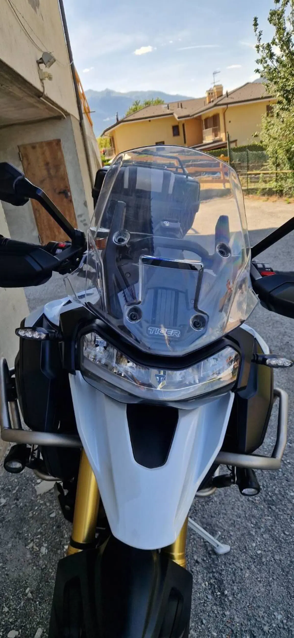 Triumph Tiger 1200 Rally Explorer (2022 - 23) (4)