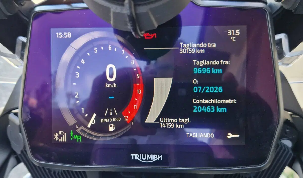 Triumph Tiger 1200 Rally Explorer (2022 - 23) (12)