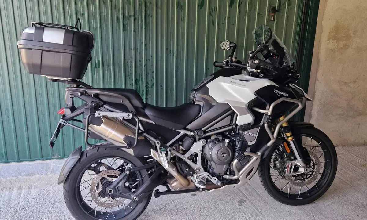 Triumph Tiger 1200 Rally Explorer (2022 - 23) (9)