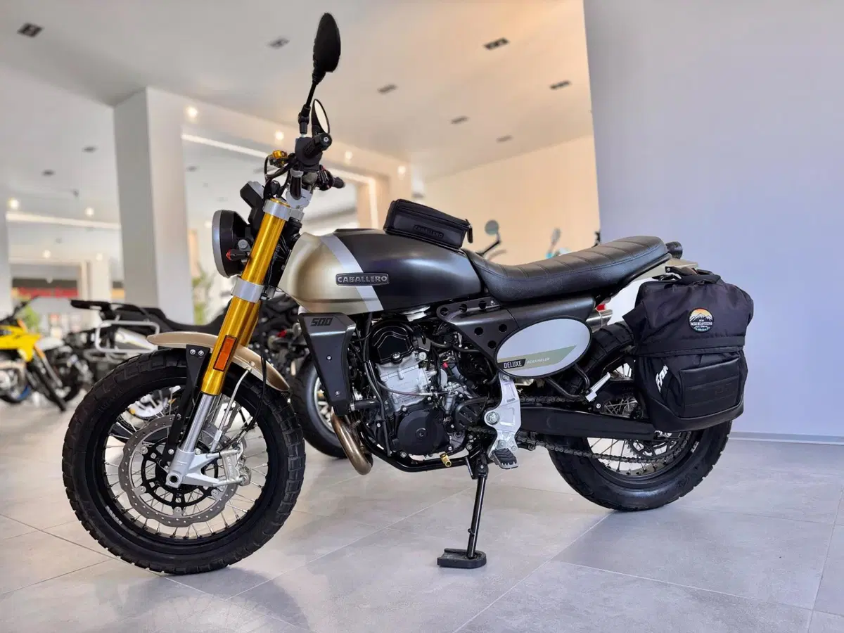 Fantic Motor Caballero 500 Scrambler Deluxe (2021 - 23) (2)