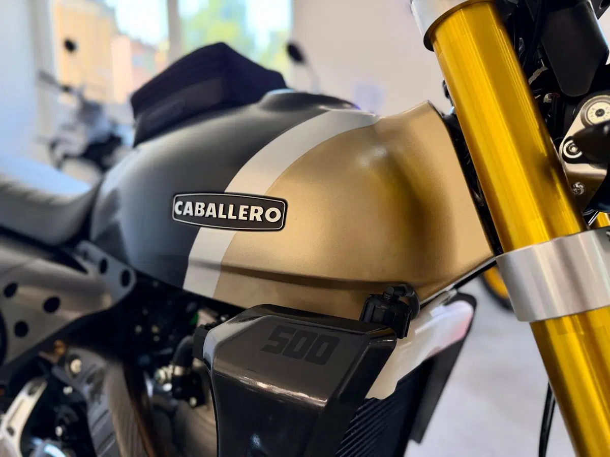 Fantic Motor Caballero 500 Scrambler Deluxe (2021 - 23) (4)