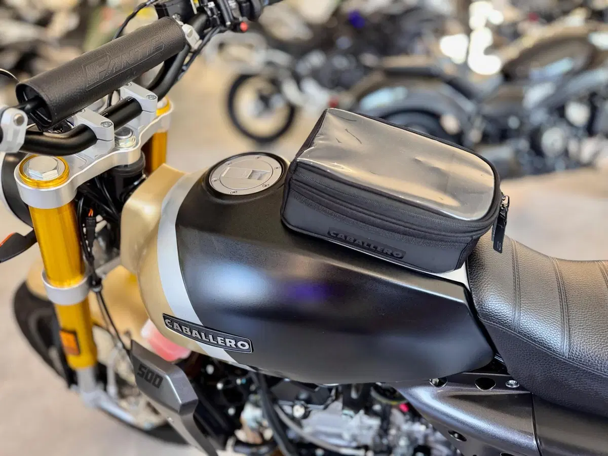 Fantic Motor Caballero 500 Scrambler Deluxe (2021 - 23) (5)