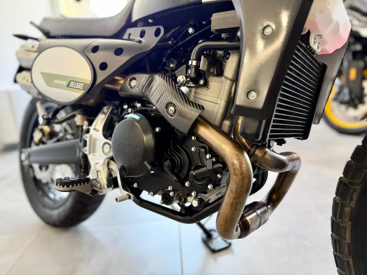 Fantic Motor Caballero 500 Scrambler Deluxe (2021 - 23) (11)