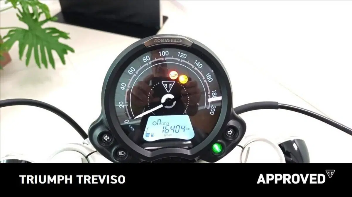 Triumph Bonneville Speedmaster 1200 Chrome Edition (2023) (4)