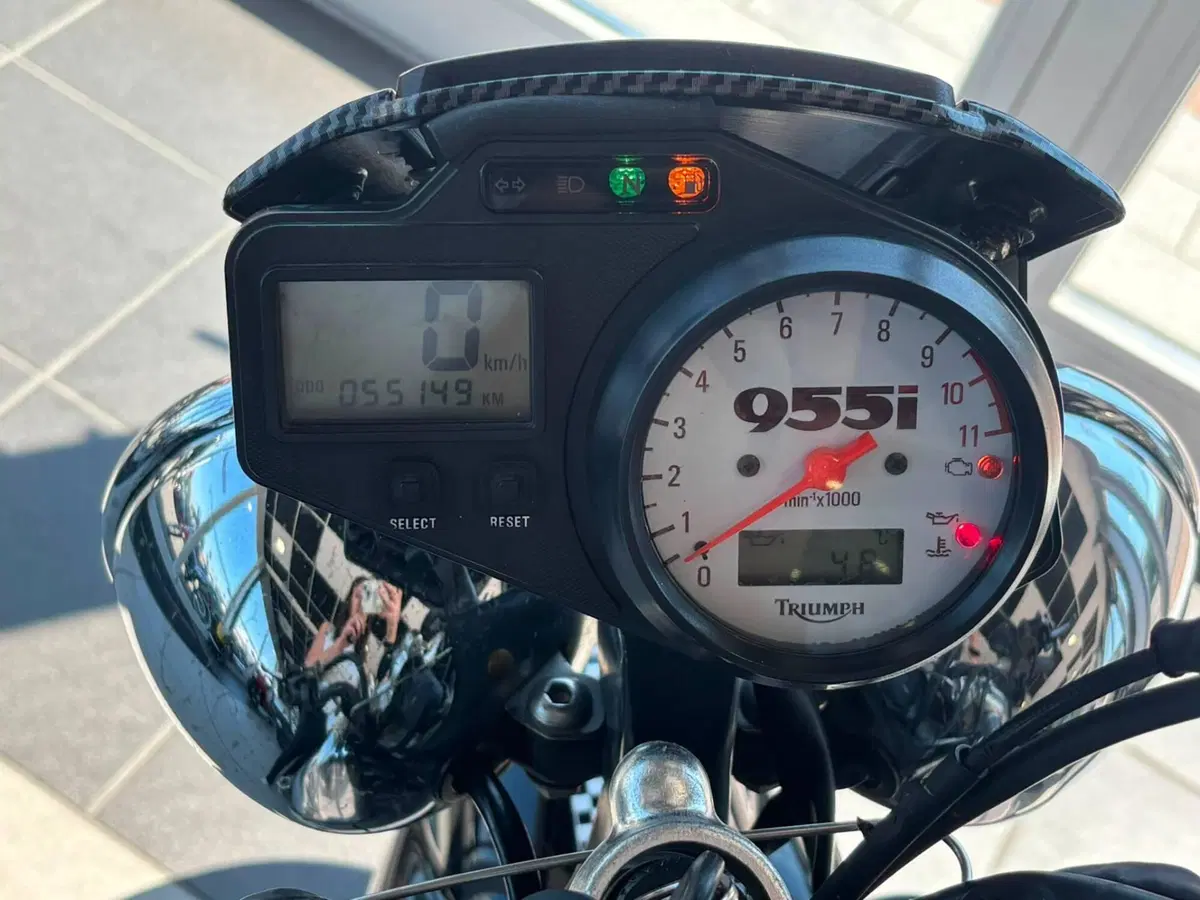 Triumph Speed Triple 955 (2002 - 04) (12)