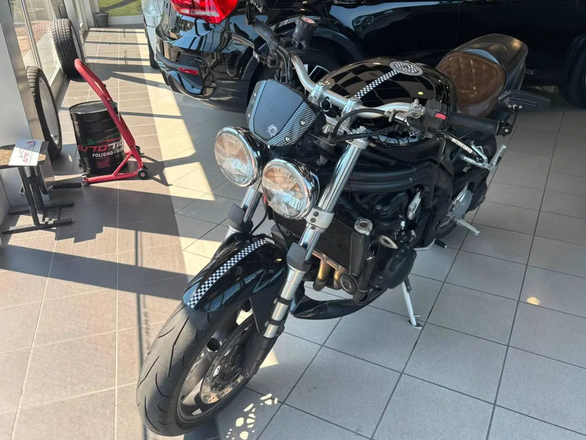 Triumph Speed Triple 955 (2002 - 04) (9)