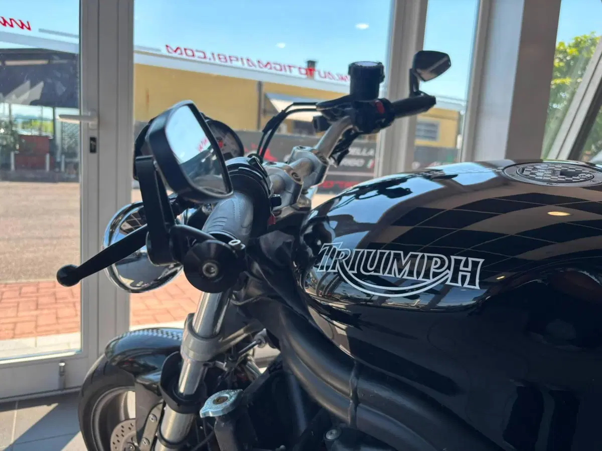 Triumph Speed Triple 955 (2002 - 04) (8)
