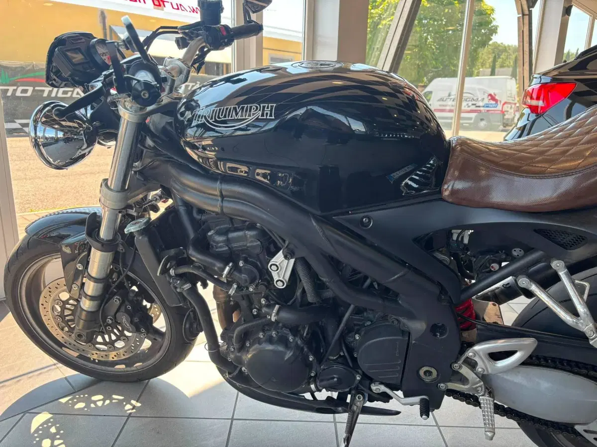 Triumph Speed Triple 955 (2002 - 04) (7)
